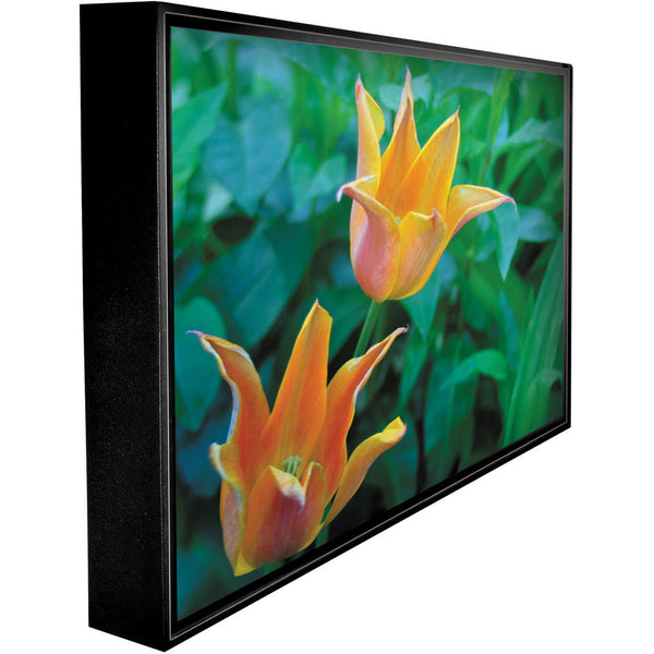 Peerless CL-55PLC68-OB 55" Xtreme Daylight Readable Outdoor TV - optically enhanced