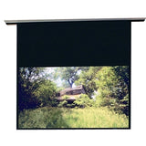 Draper Access 104305L Electric Projection Screen - 123 - 16:10 - Ceiling Mount