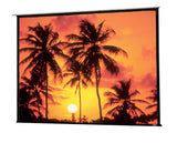 Draper Access 104306L Electric Projection Screen - 137 - 16:10 - Ceiling Mount