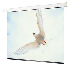 Draper Targa 116468 Electric Projection Screen - 110" - 16:9 - Ceiling Mount