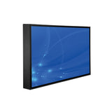 Peerless-AV CL-5565 UV2 55 Outdoor TV