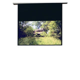 Draper Access Electric Projection Screen - 120 - 4:3 - Ceiling Mount