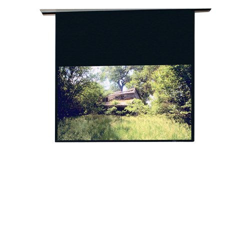 Draper Access Electric Projection Screen - 120" - 4:3 - Ceiling Mount